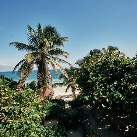 Libelula Beachfront 4* Tulum