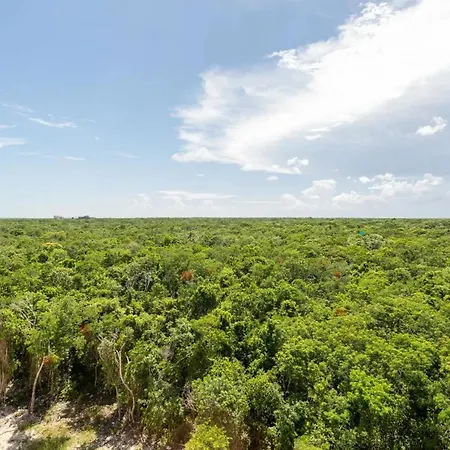 Ixmali, Jungle Avec Vue Proche De La