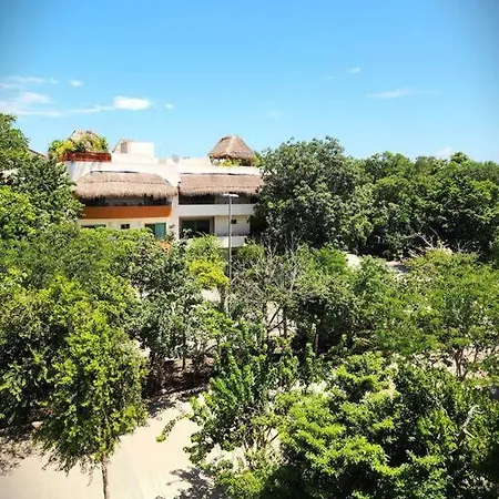 Giada Towers La Veleta - 1 Bdr - Roof & Pool