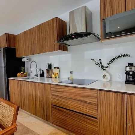 2br, 2baths, Rooftop Pool, 15 Minutes From Tulum