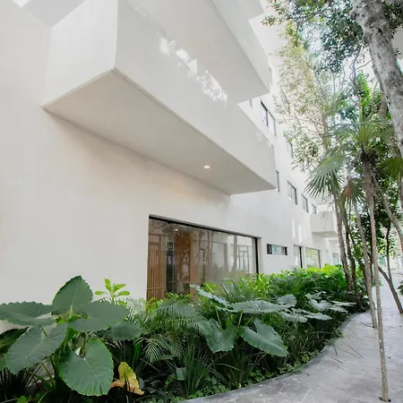 Apartment 2br, 2baths, Rooftop Pool, 15 Minutes From Tulum