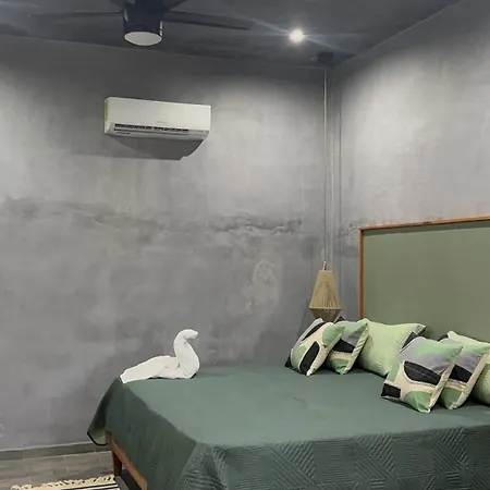 Estudio Duplex *
