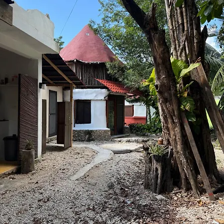 Tree House Guest house Tulum