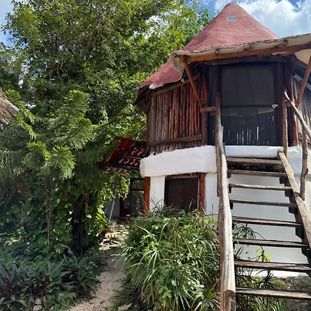 Tree House Guest house