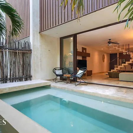 2 Br. Ph Wprivate Pool In Luxury Gated Community Tulum