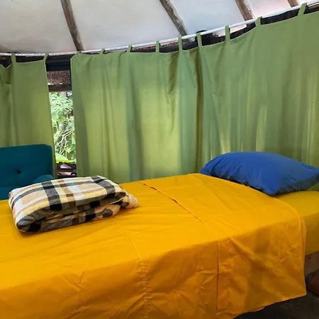 Tree House Guest house Tulum