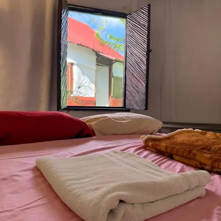 Guest house Tree House Tulum