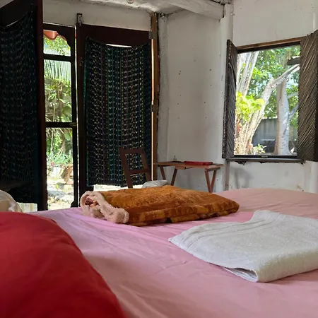Tree House Guest house Tulum