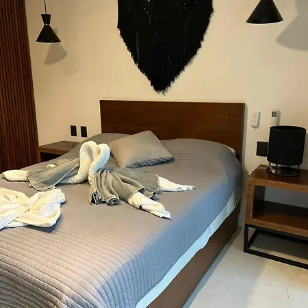 Stilvolles Penthouse Mit 2 Schlafzimmern Und Privater Pool Apartment Tulum