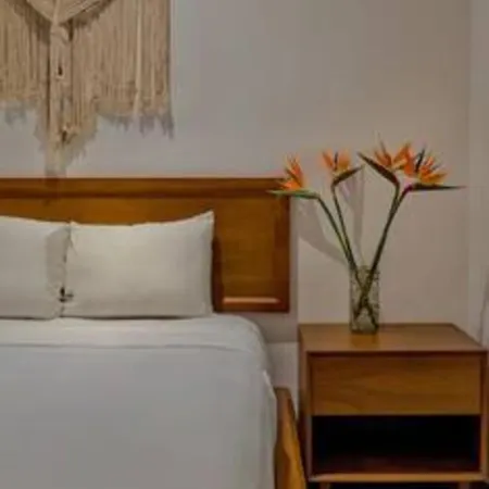 Luminous Great Located Loft