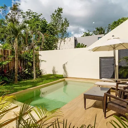 Selva Friends And Family Up To 12 People 4 Villa Tulum
