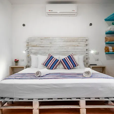 Casa Toloc