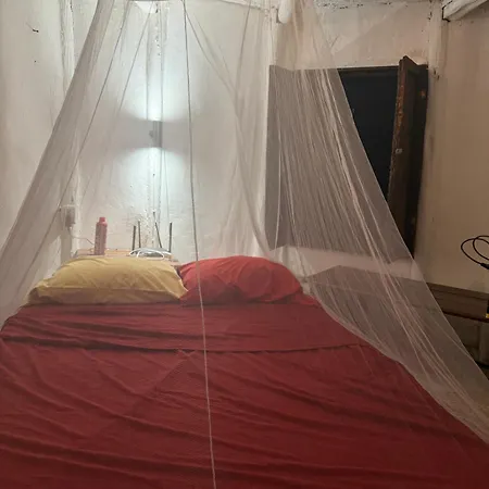Tree House Guest house