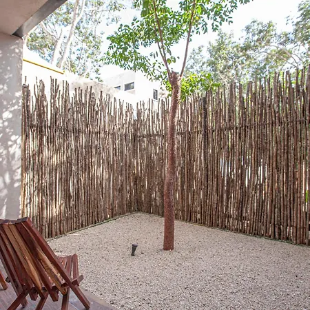 Apartment Calma Jungle *