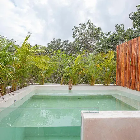 Calma Jungle * Tulum
