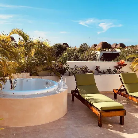 Spacious Penthouse With Private Rooftop & Jacuzzi Apartment *