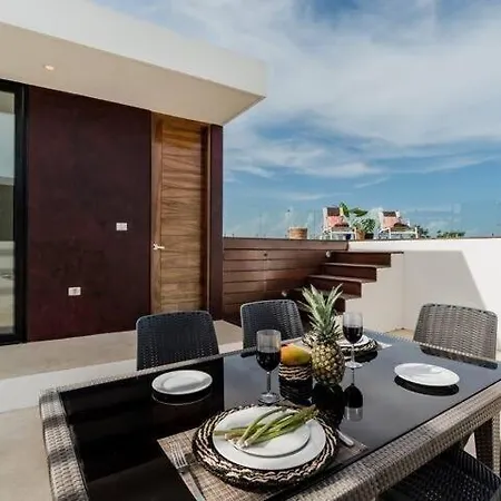 Park Penthouse Apartment *