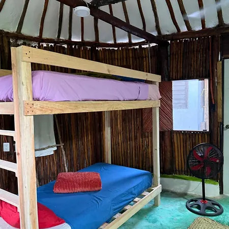 Guest house Tree House Tulum