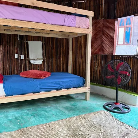 Tree House Guest house *