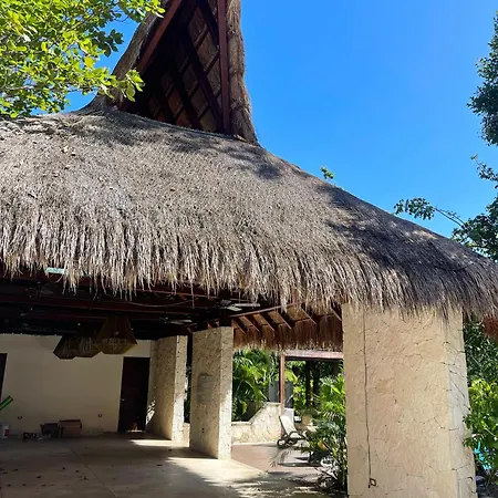 Villa Tikal *
