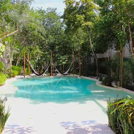 Palalma 2br - By Next Level B *