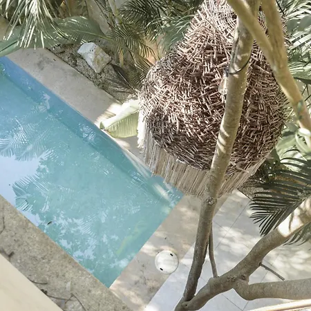 Casa Agosto Tropical Oasis In Aldea Zama *