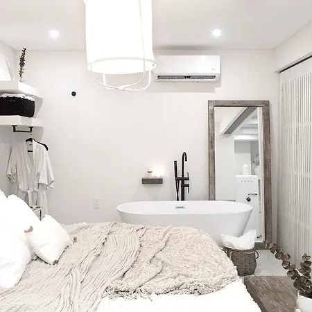 Hotel Jungle Luxe 5*