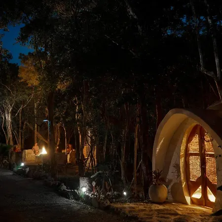 Lodge Unique Jungle Dome Ik *