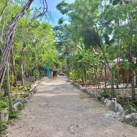 Lodge Unique Jungle Dome Ik