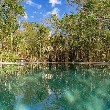 Villa Jungle Serenity Tulum
