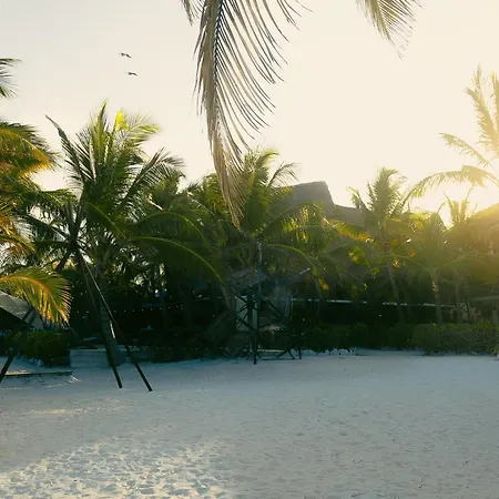 Mia 3* Tulum
