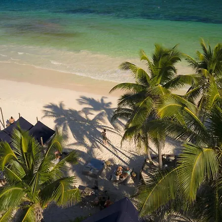 Libelula Beachfront