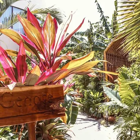 Alberca Privada, Cenote, Casa Baalam Holiday home