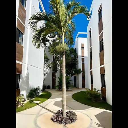 Apartment Discover Your Sanctuary Stylish In Vibrant La Veleta Tulum
