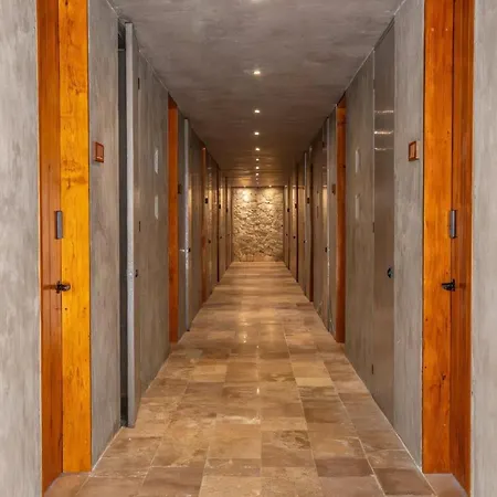 Apartment Tulum Aesthetic Mater Suite With Private Pool Rooftop Jacuzzi And Gym