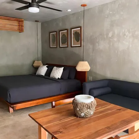 Tulum Aesthetic Mater Suite With Private Pool Rooftop Jacuzzi And Gym * Tulum