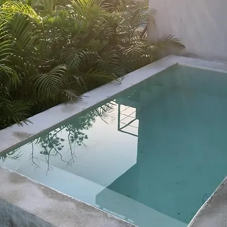 Apartment Seremonia Selva New Near For Couple And 2 Kids Private Pool Free Parking Tulum