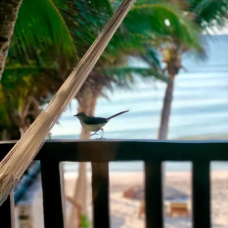Hotel Azucar Tulum