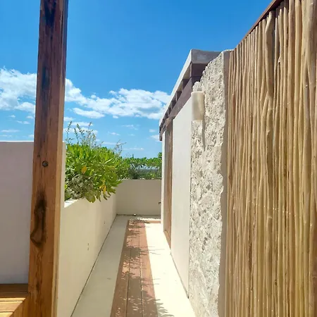 Azucar