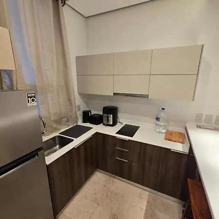Apartment Departamento Centrico *