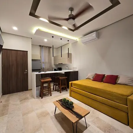 Departamento Centrico Apartment