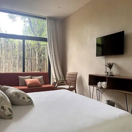 Manor, Aldea Zama, The Location Tulum