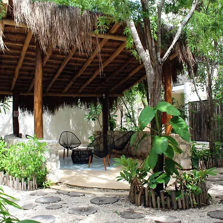Palalma Casa