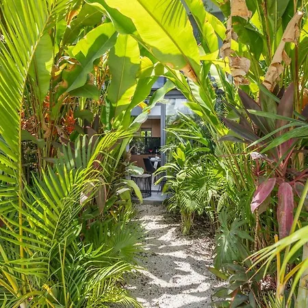 Beautiful Jungle Loft