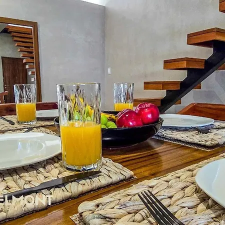 Apartment Luxury Penthouse With Private Plunge Pool In *