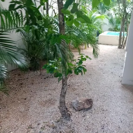 Incredible 3br House For 6, Pool, Near