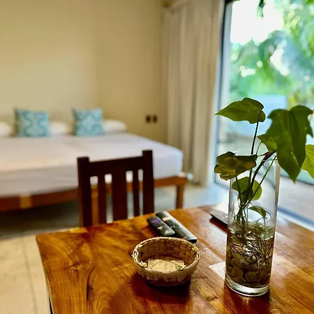 Hotel Moonshine & Tulum