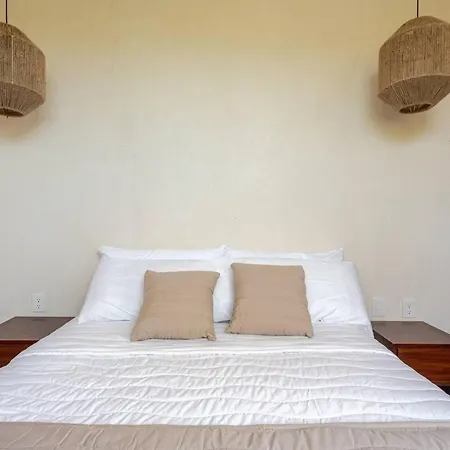 Rev Apartment