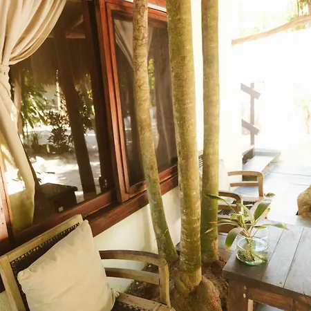 Casa Violeta Hotel 3*
