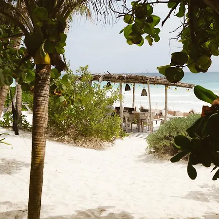 Casa Violeta Hotel Tulum